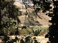 Vista en acampamiento, Zona Arqueologica Huamango_1024x768