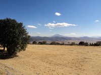 Vista en Zona Ecologia, Huamango_1024x768