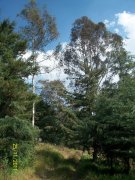 Cerro de Chapultec y cuevas