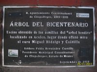 Arbol del Bicentenario