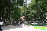 Mercado / Jardin Principal
