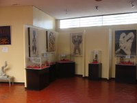 Museo Cultura Tlatilca