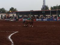 Texcoco Feria del Caballo