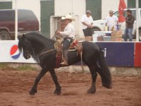 Paseos en la Feria del Caballo 2011 2