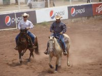 Equipo Encierro y Corte Ganado