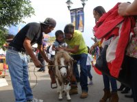 Niño Sobre Pony