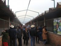 Zona de Exposicion y Venta de Caballos