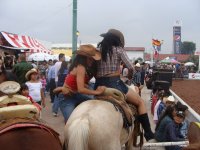 Paseos en la Feria del Caballo 2011