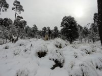 Nevado con nieve