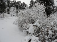 Nevado con nieve