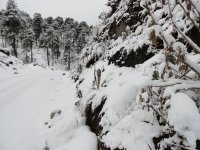 Nevado con nieve