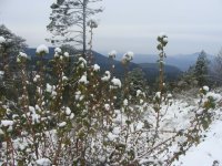 Nevado con nieve