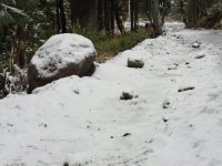 Nevado con nieve