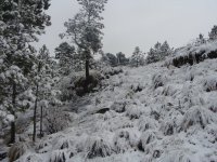 Nevado con nieve