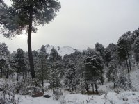 Nevado con nieve