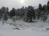 Nevado con nieve