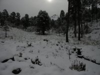 Nevado con nieve