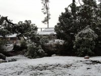 Nevado con nieve