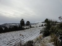 Nevado con nieve