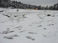 Nevado con nieve