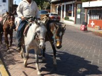 Valle de Bravo - Caballos