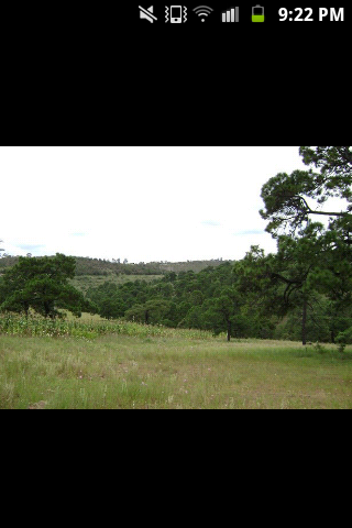 Terreno en Aculco Edo de Mexico