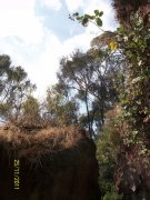 Cerro de Chapultec y cuevas