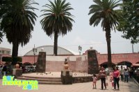 Mercado / Jardin Principal