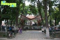 Mercado / Jardin Principal