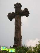 Cruz Atrial 8