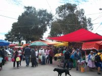 Mercado, Otzolotepec 1