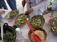 Tlayudas hechas con masa verde