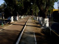 Valle Dorado y Arboledas Tlalnepantla