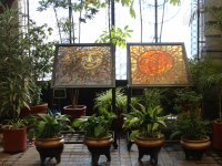 Cosmo Vitral Jardin Botanico_26