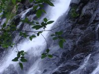 Cascada Velo de Novia - Valle de Bravo
