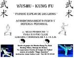 Wushu-Kung Fu